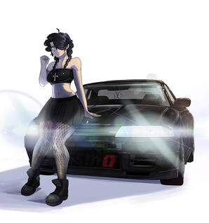 nicolle car